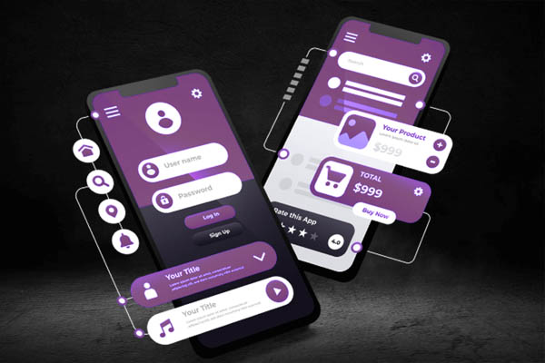 Mobile App and Responsive Website Development